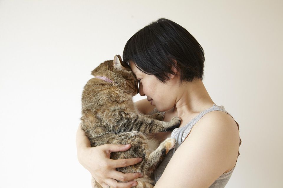 Woman soothing her cat