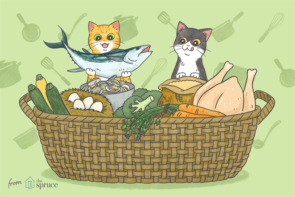 illustration of homemade cat food