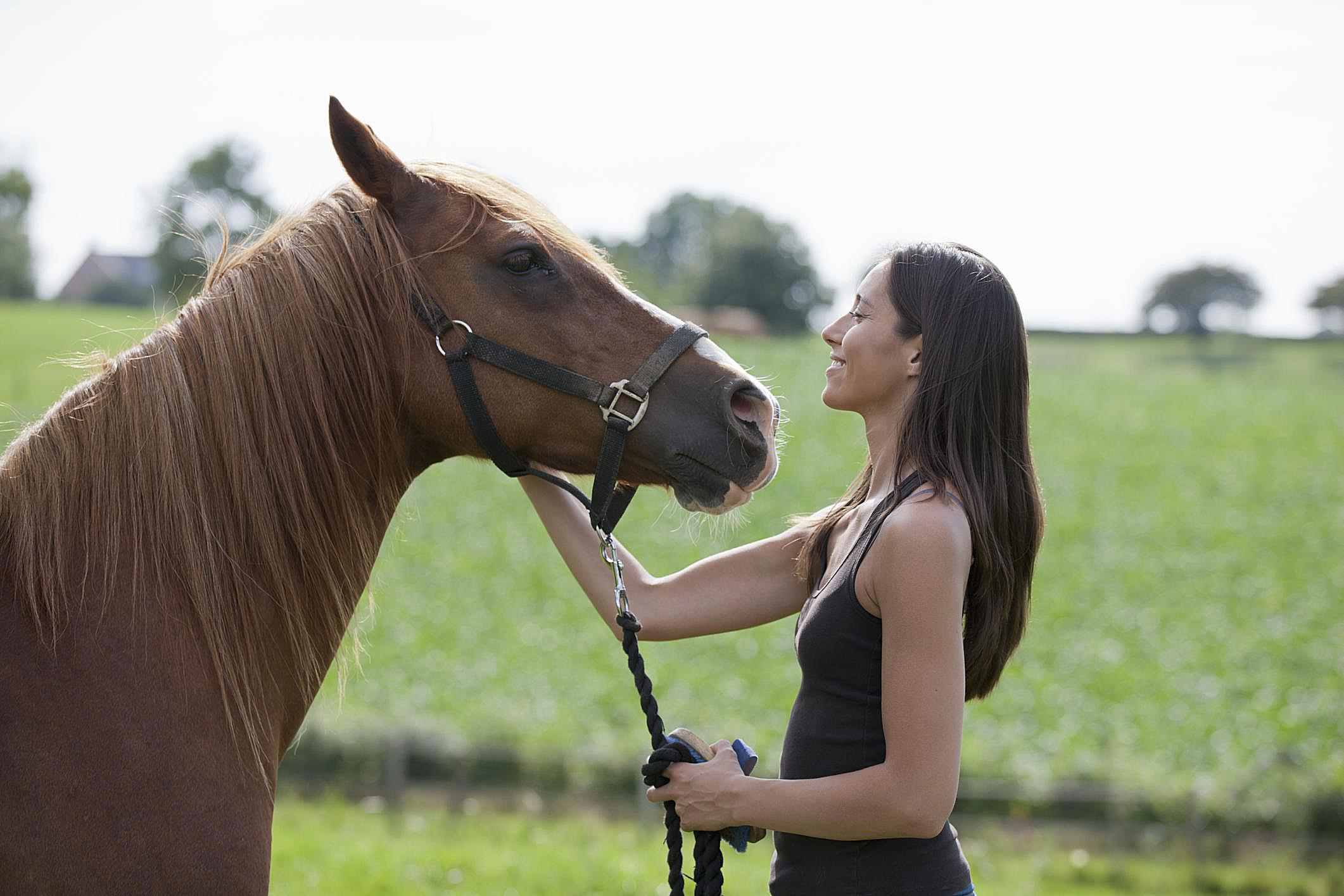 Young woman with horse in field
