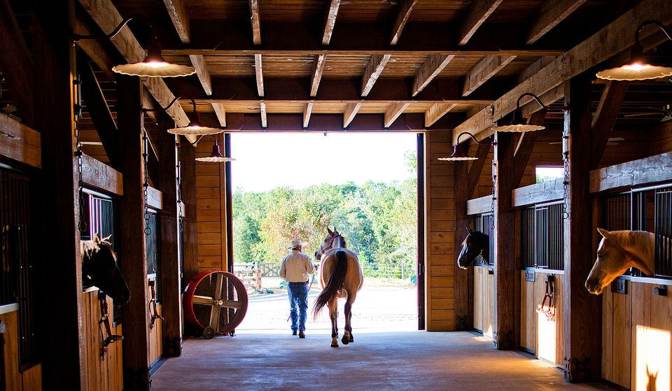 A man leads a horse out of stables.