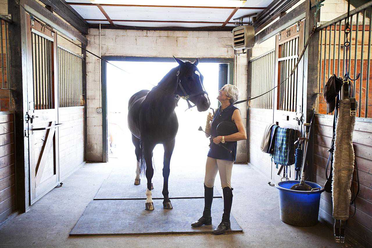 horse in stable aisle with woman
