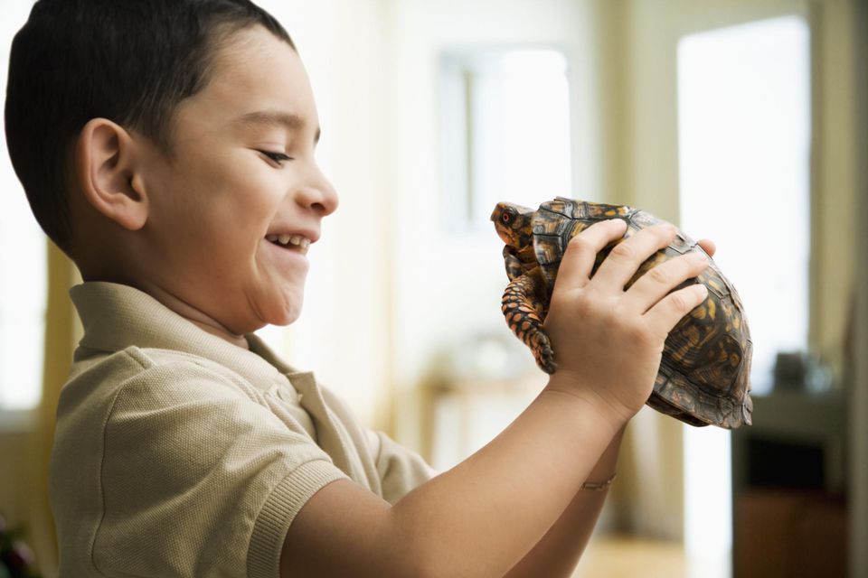 Boy holding pet tortoise