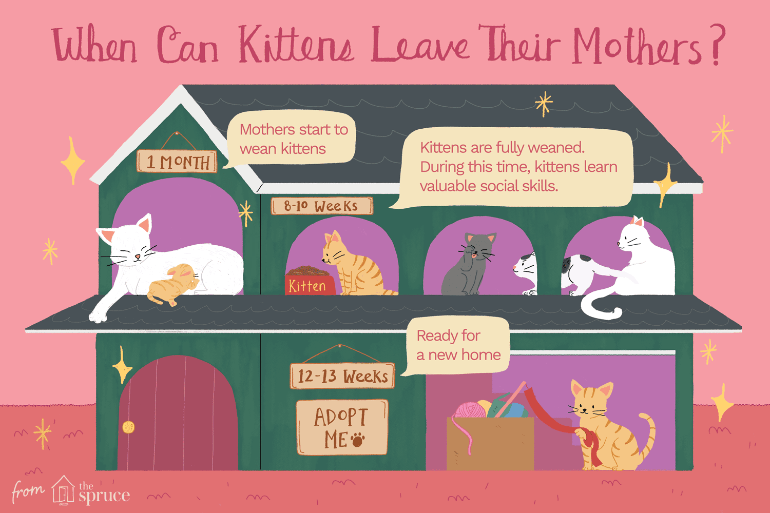 illustration of weaning kittens