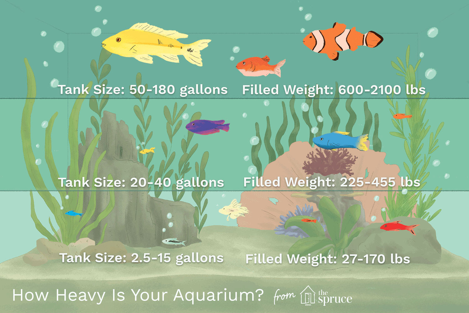 Illustration depicting the weights and tank sizes of aquariums
