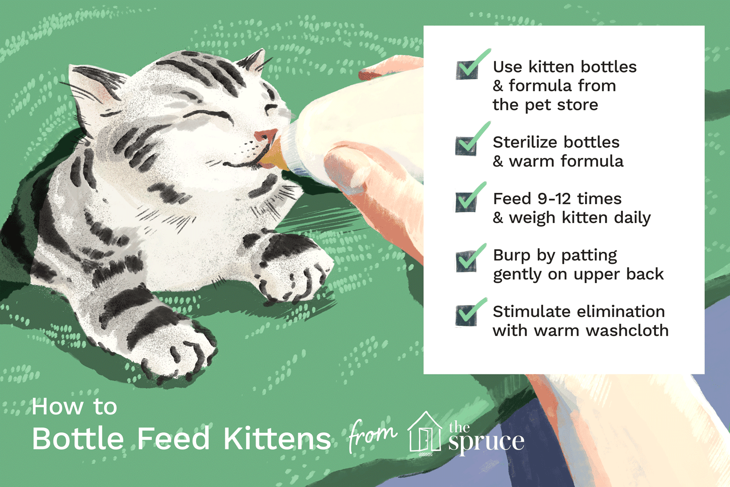 illustration of how to bottle feed kittens