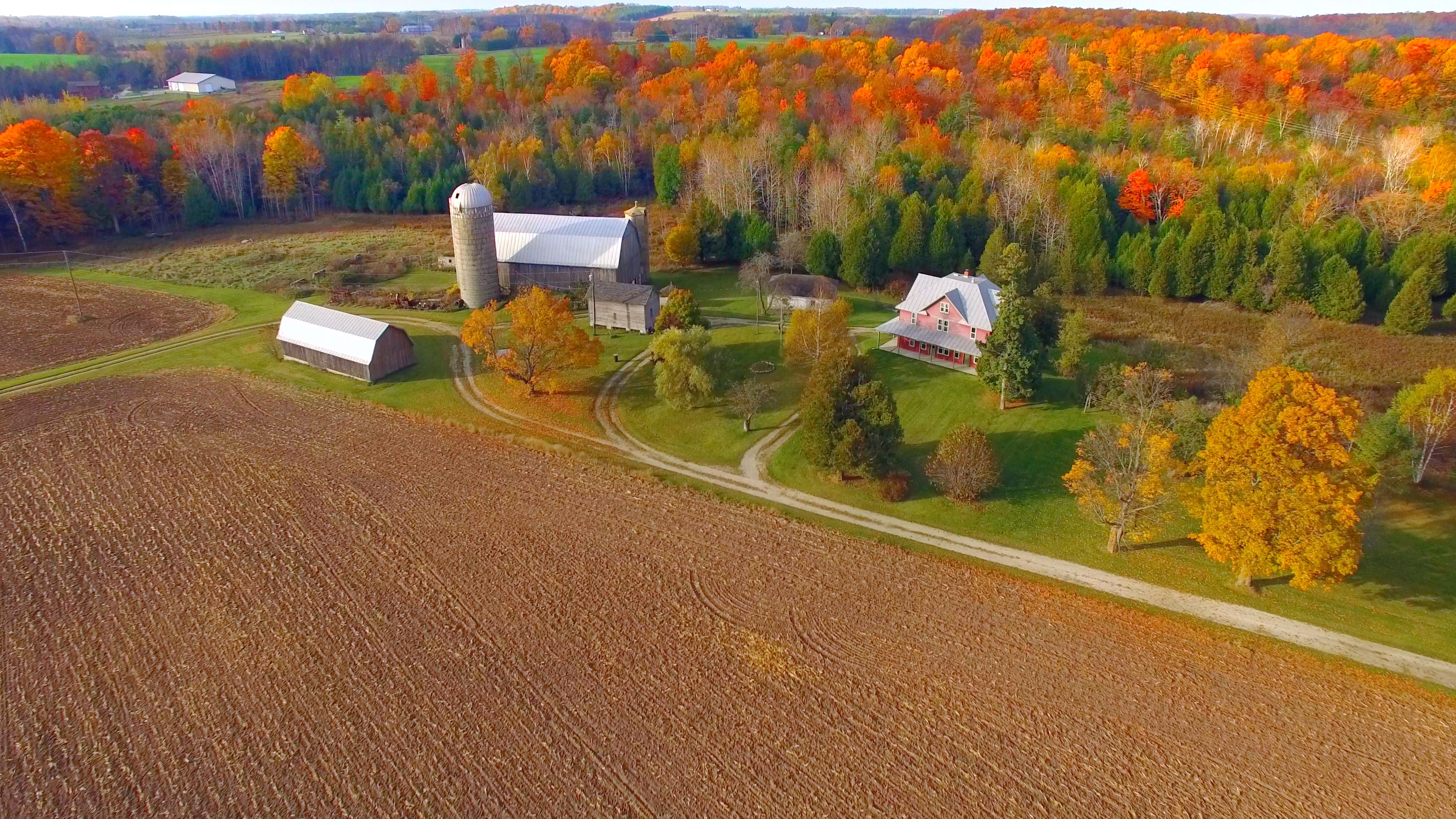 Colorful Autumn Rural Forest and Farm Landscape