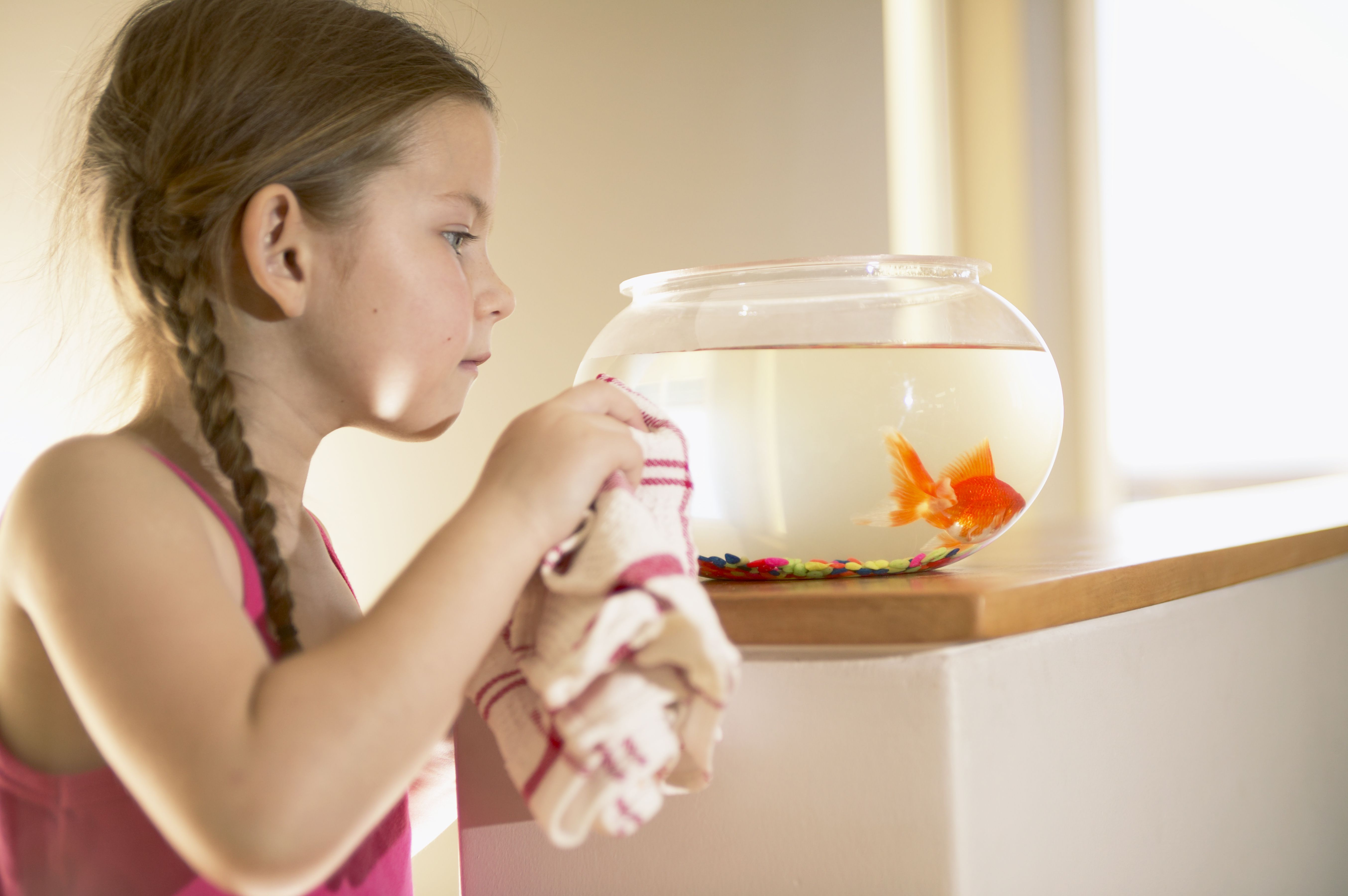 Young girl cleaning fishbowl