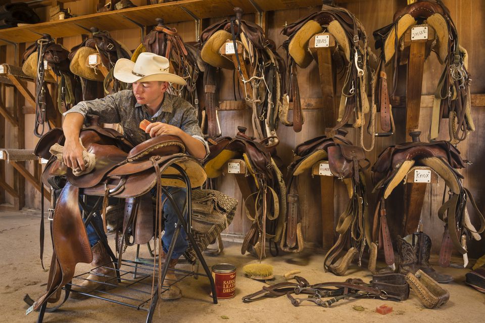 Man cleaning leather saddle