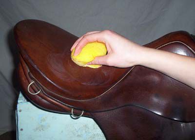 Person applying saddle soap to the saddle with a sponge.