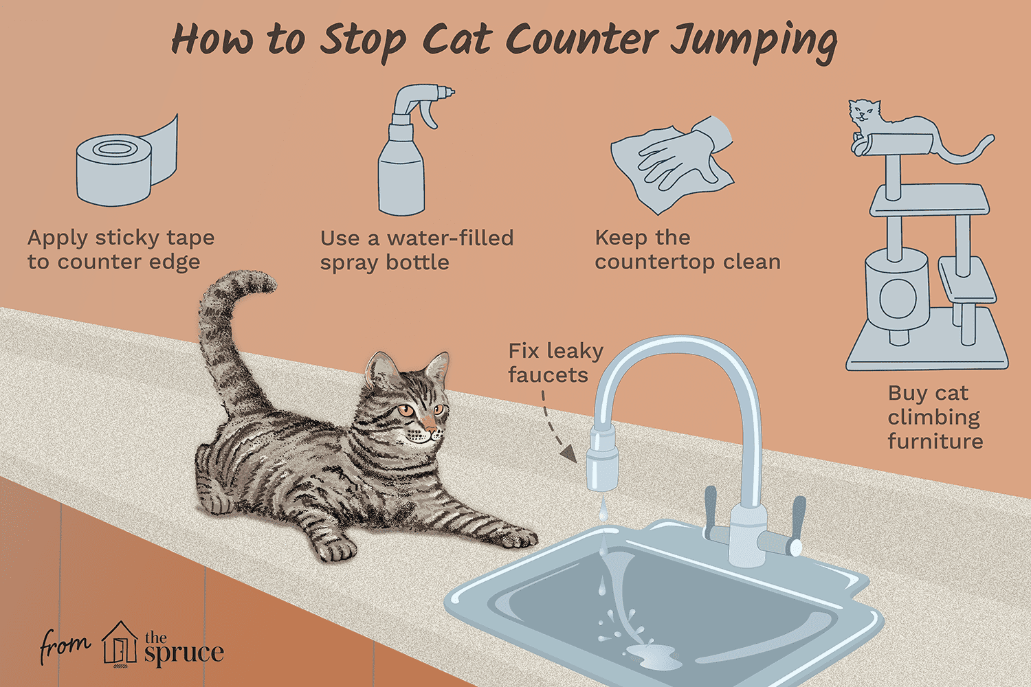 how to stop cat counter jumping illustration
