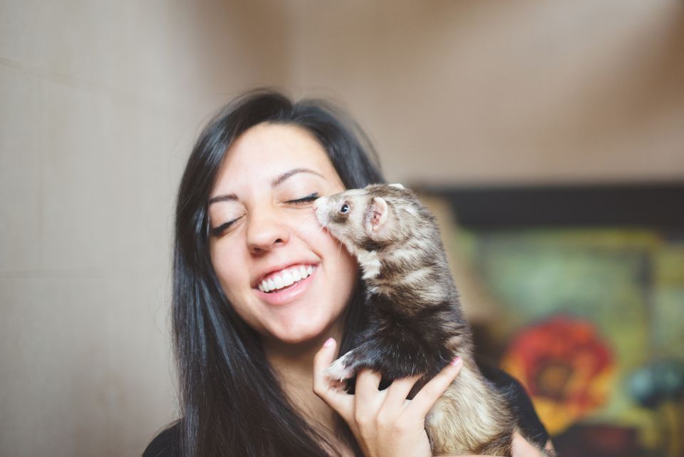 Girl and pet ferret