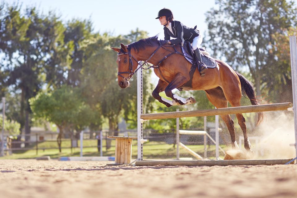 Horse jumping over an obstacle with a rider.