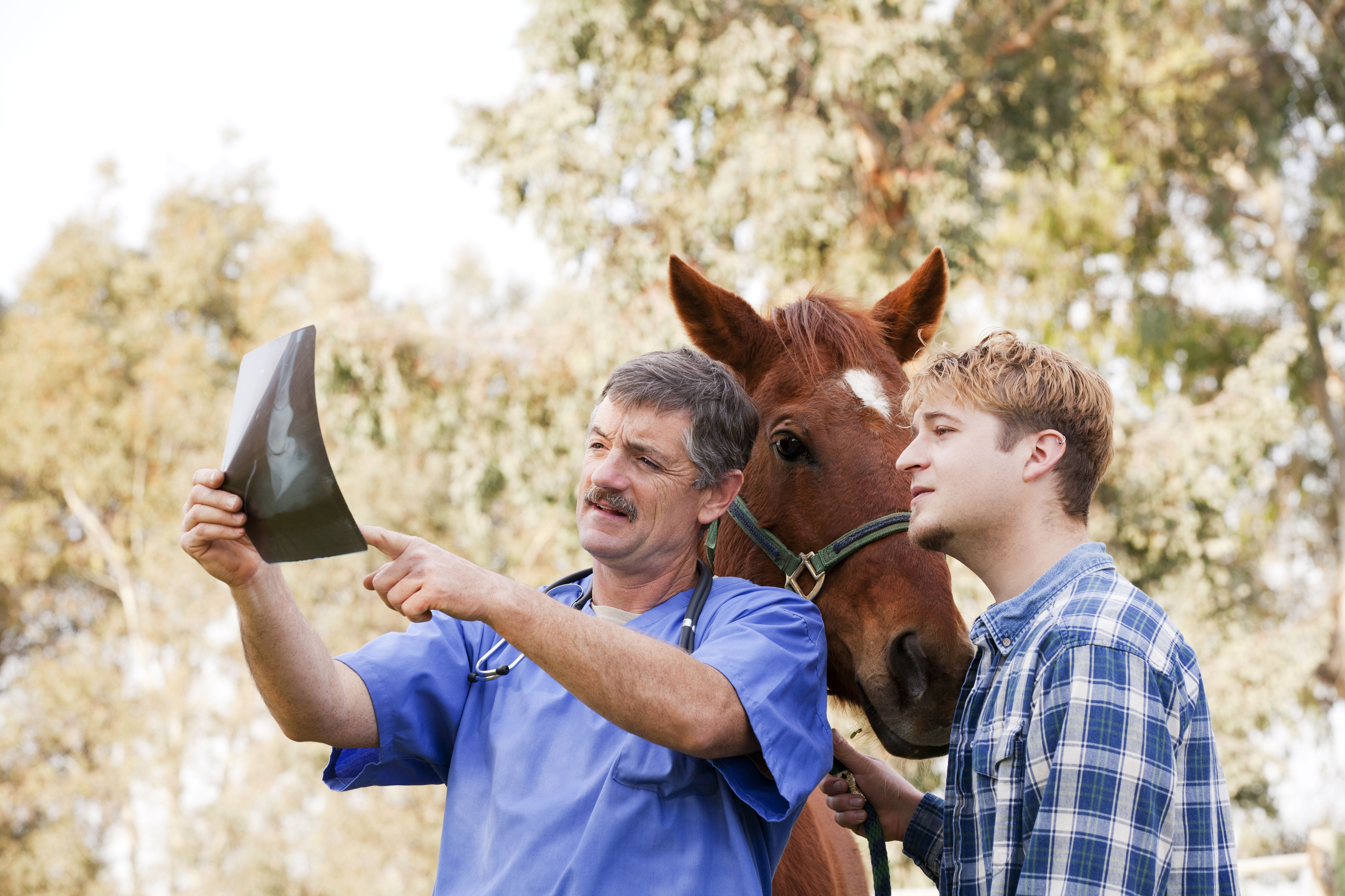 Vet discussing X-ray results with horse owner as horse stands behind them.
