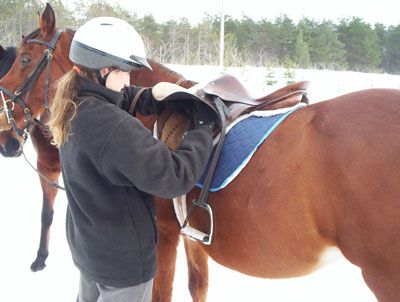 girl checking the girth of a saddle.