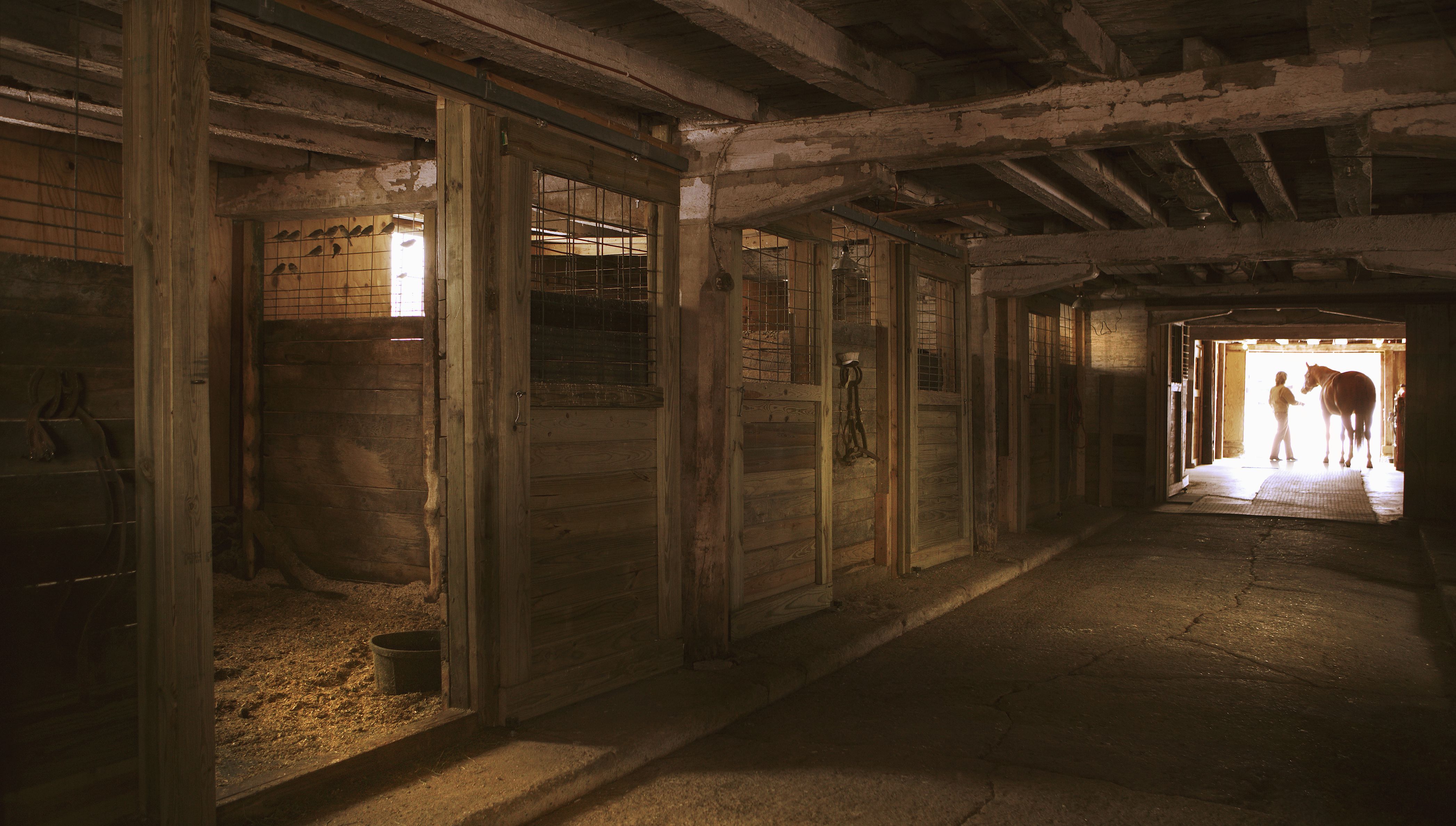 Horse barn stable doors