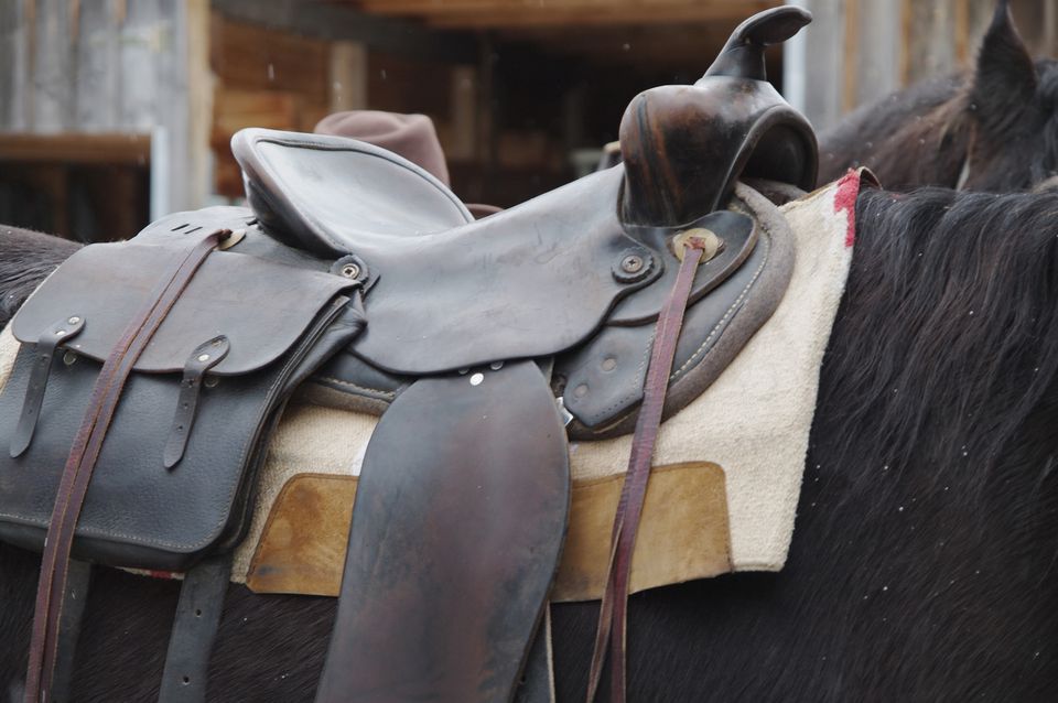 Close-Up Of Saddle On Horse