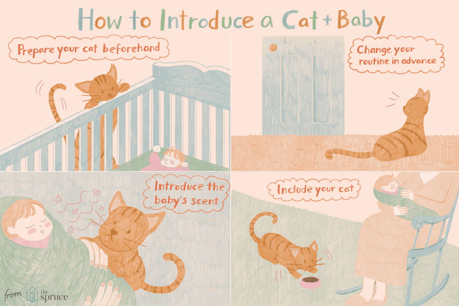 Introducing a cat to a baby illustration