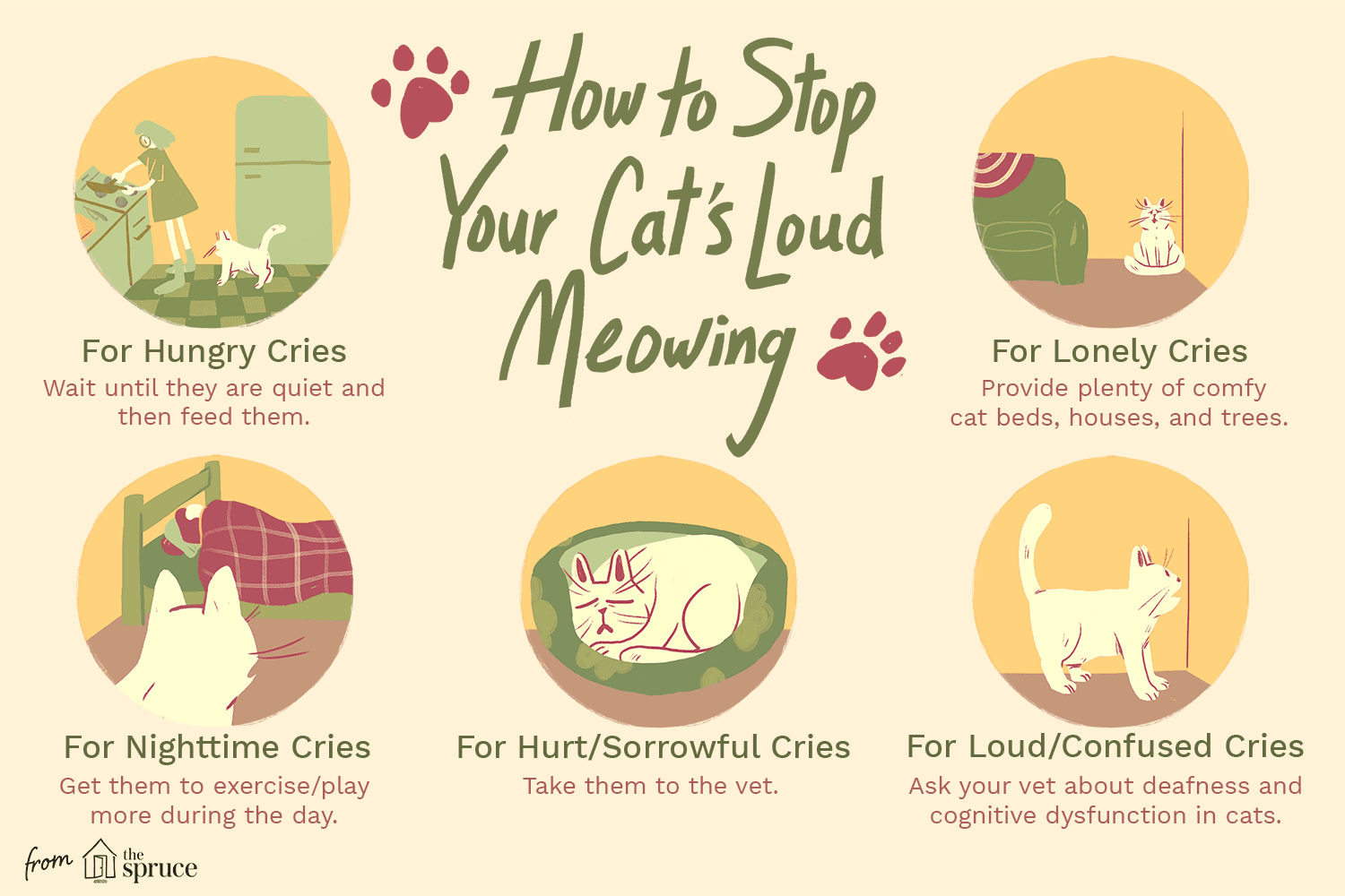 An illustration of how to stop your cat's loud meowing