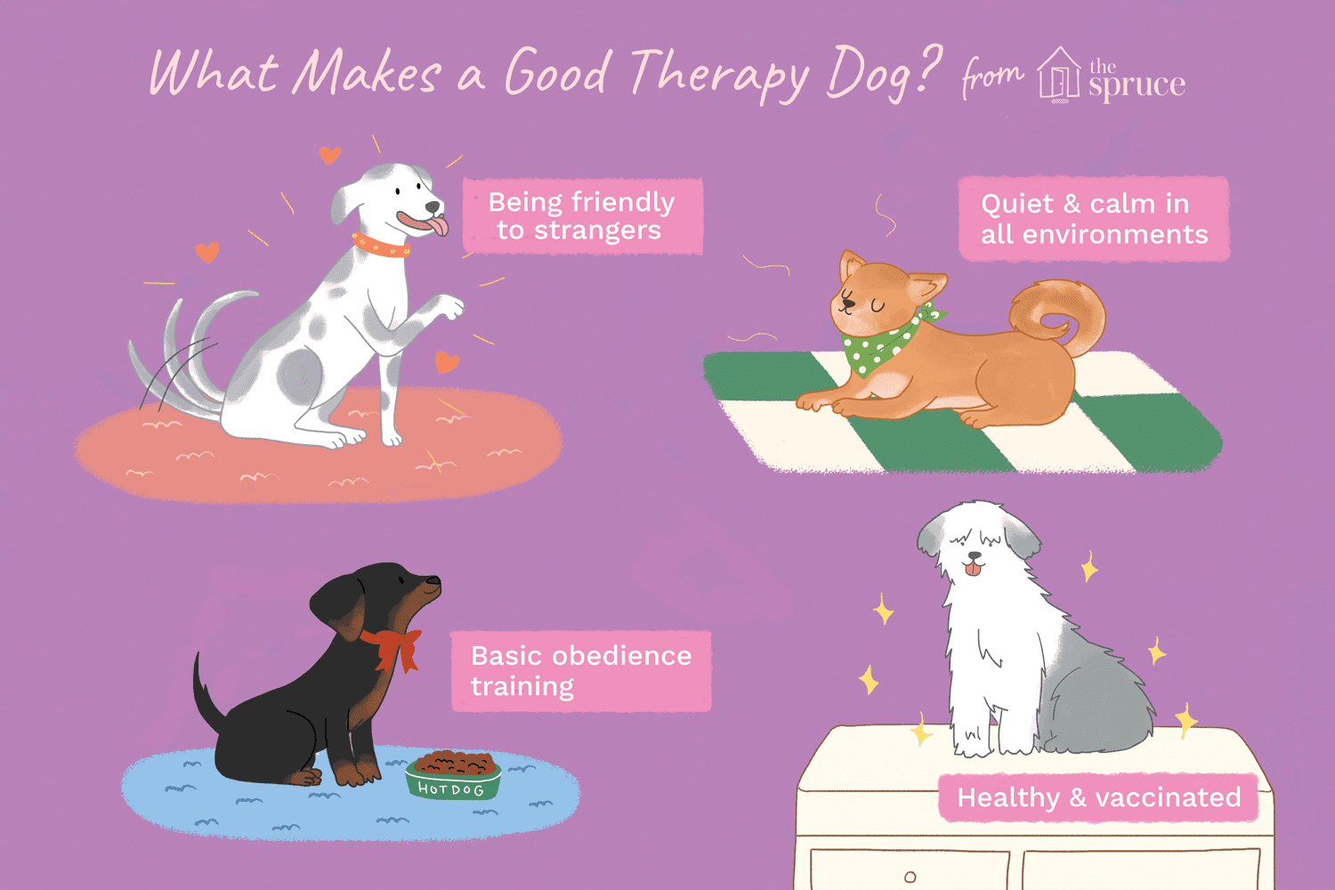 illustration of what makes a good therapy dog