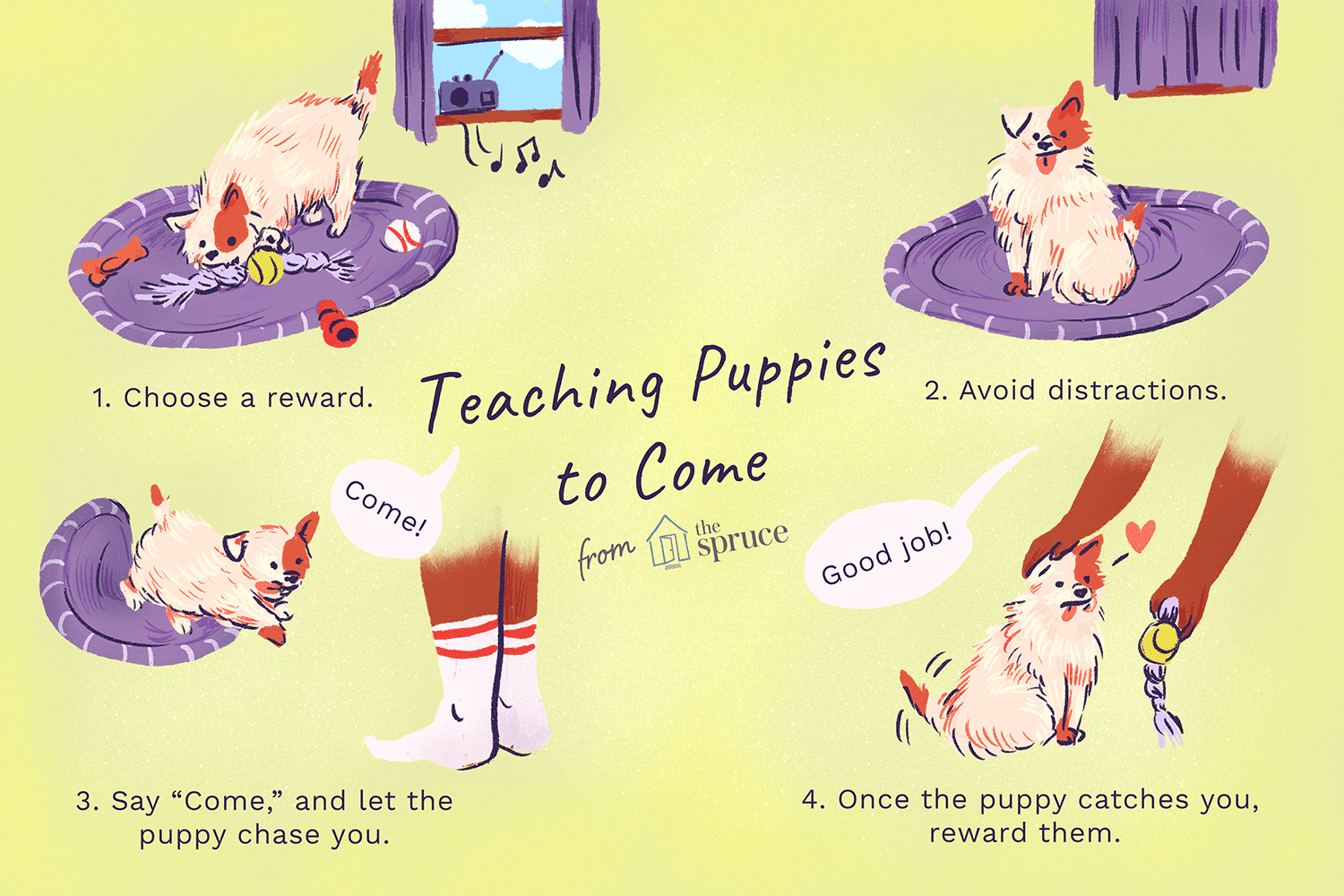 An illustration showing how to teach a puppy to come