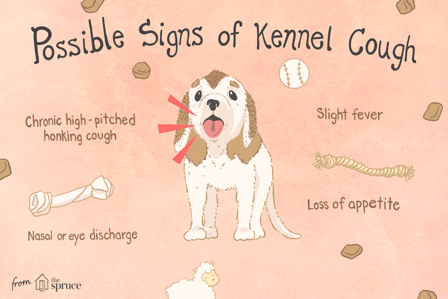 Kennel cough in dogs illustration