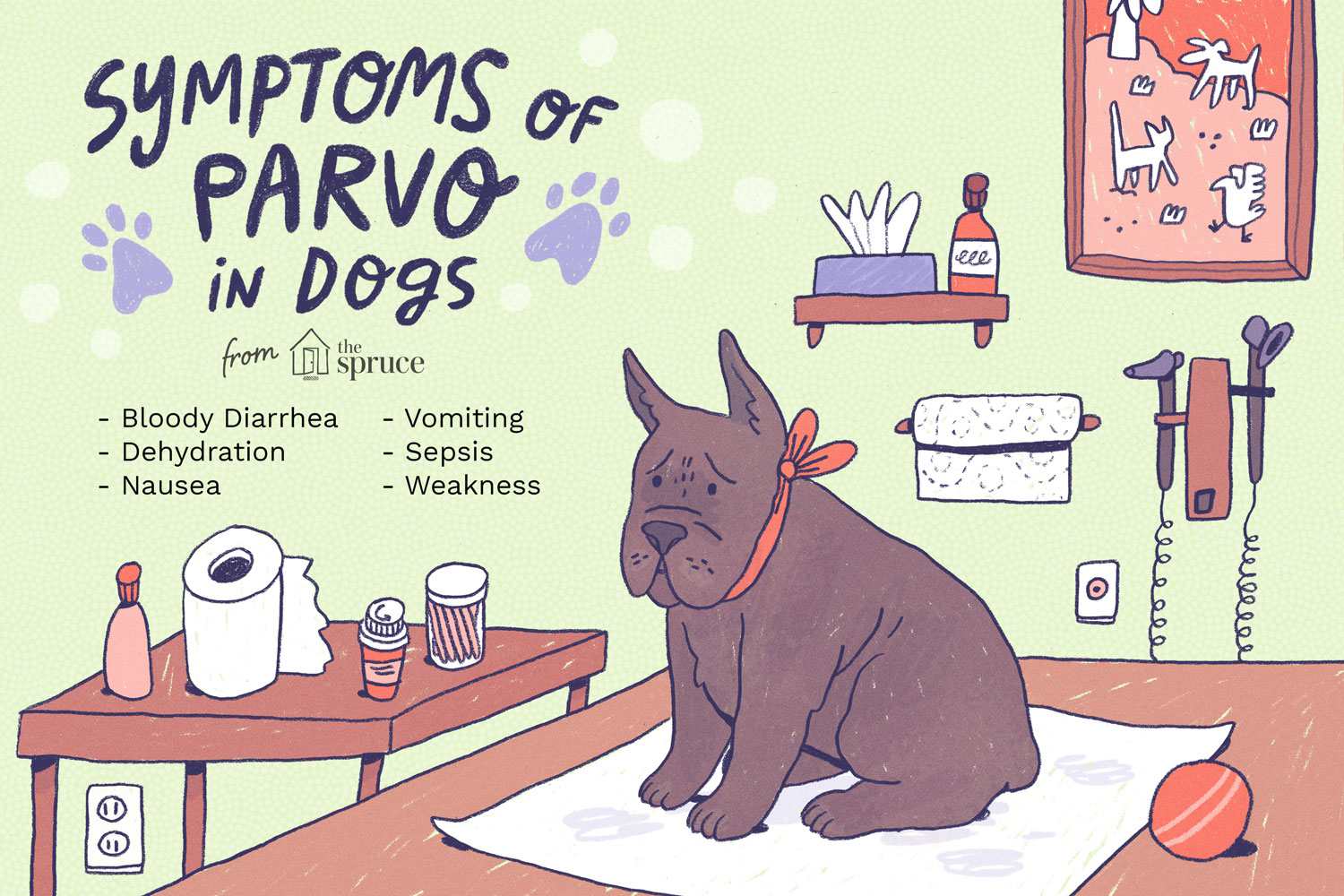 Illustration of symptoms of Parvo in dogs