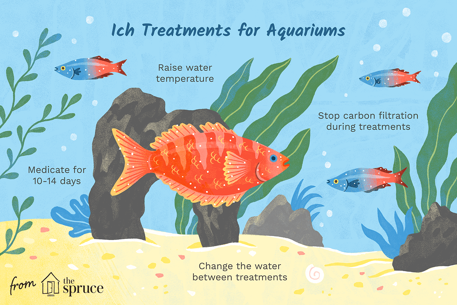 ich treatments for aquariums illustration