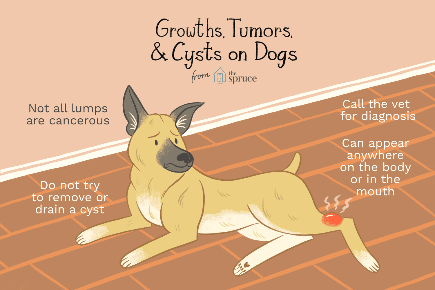 growths, tumors, and cysts on dogs illustration