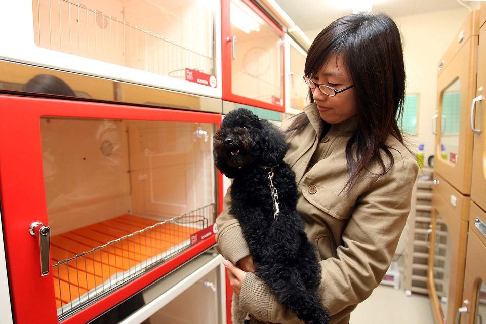 A woman and her pet dog inspect a pet hotel in Japan