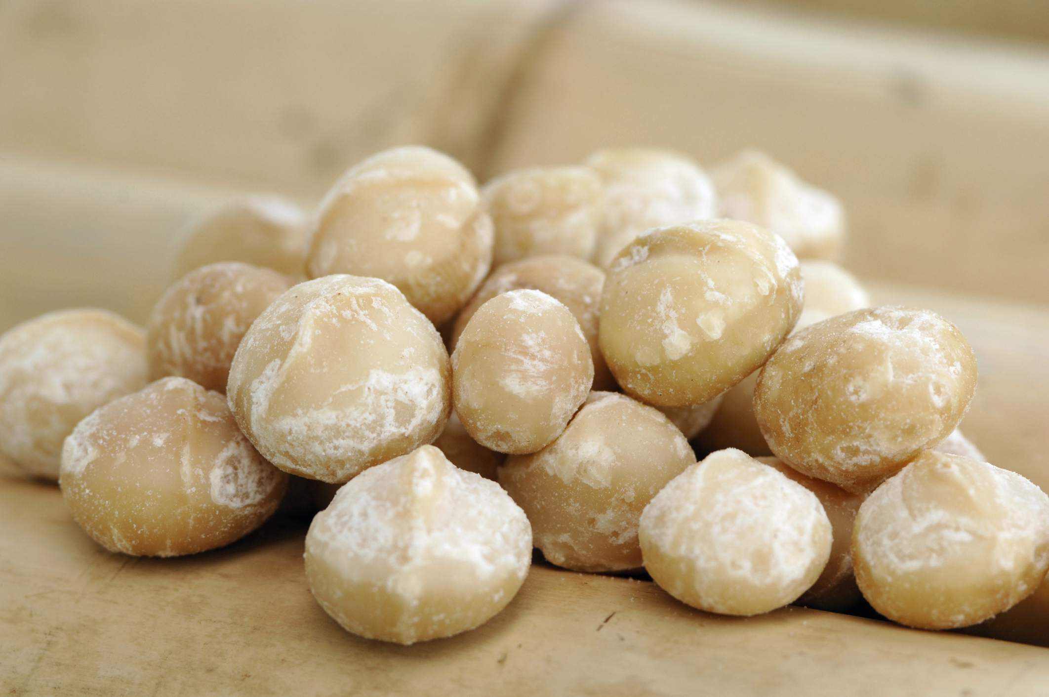 A pile of macadamia nuts.
