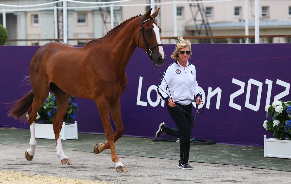 an Irish sport horse and its handler at the 2012 London Olympic Games