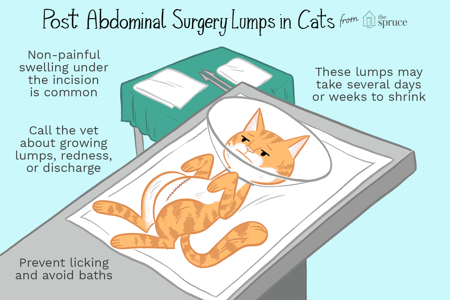 illustration of post-abdominal surgery lumps in cats
