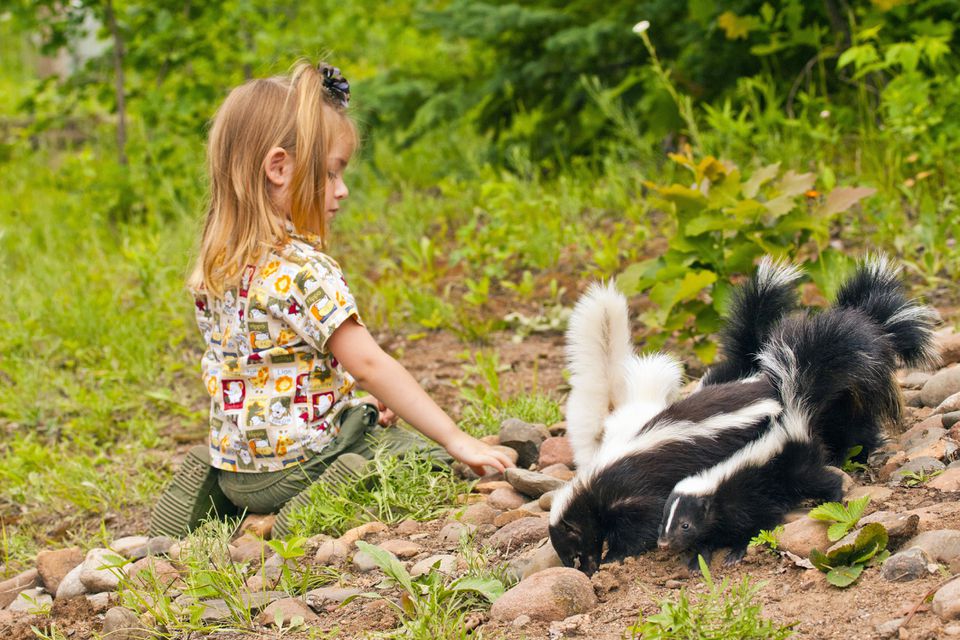 Girl outside with baby skunks