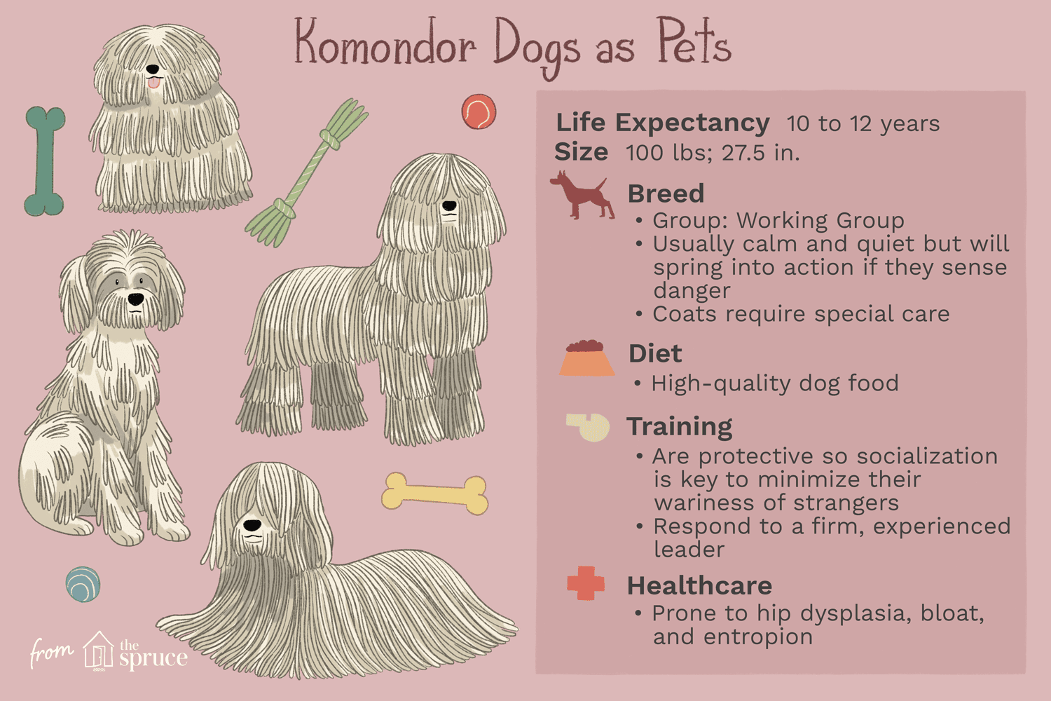 komondor dogs as pets illustration