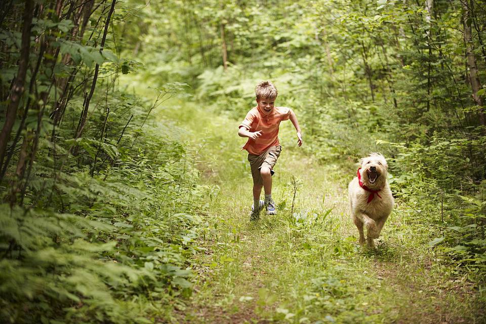 Boy and Dog Running in the Forest