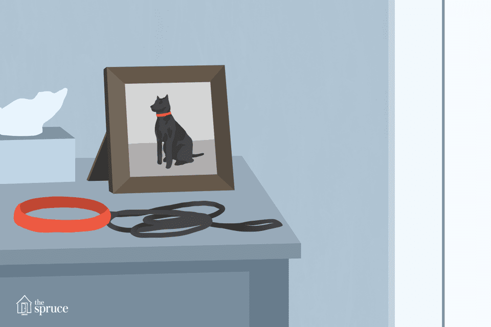 Mourning the loss of your dog