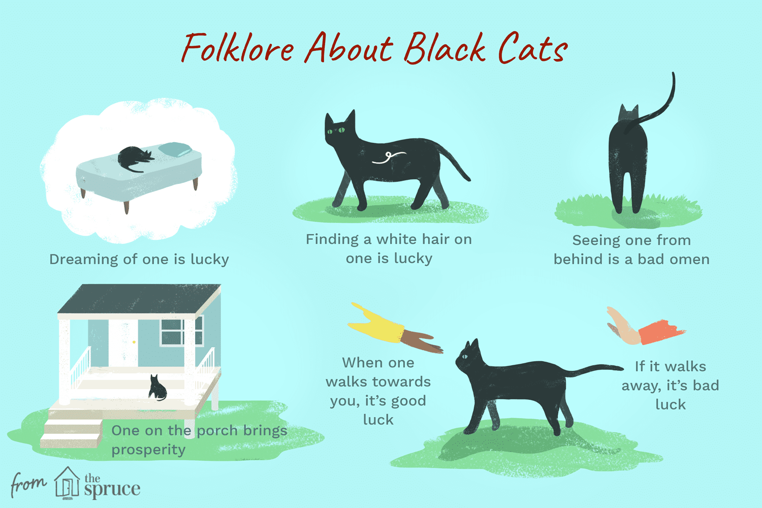 illustration of folklore about black cats