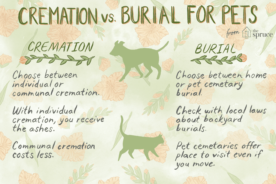 Options for pet care after death: cremation vs. burial