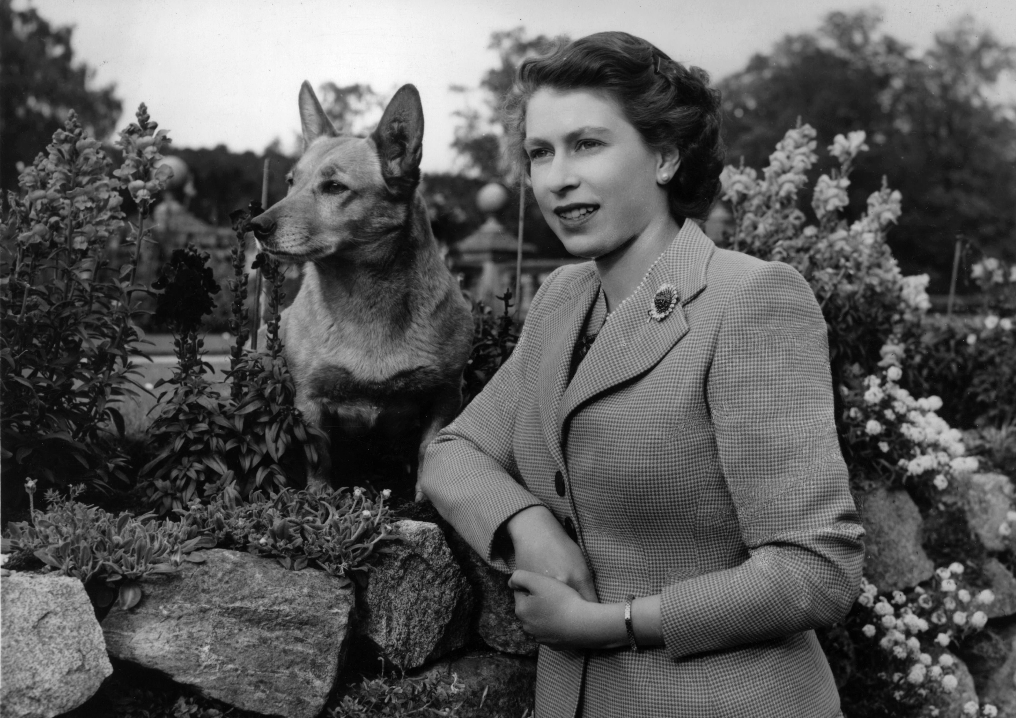 Queen Elizabeth with one of her pet corgis.