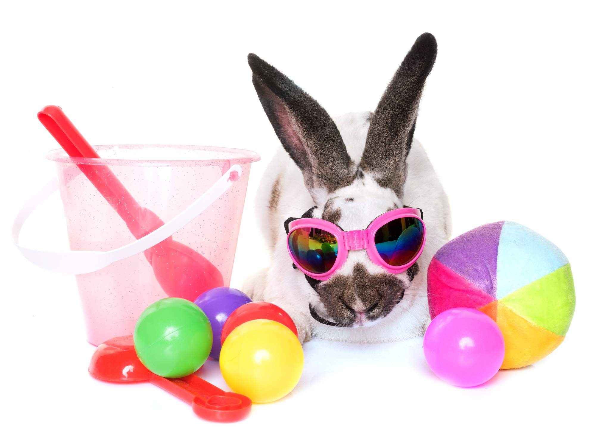 A rabbit wearing sunglasses, surrounded by toys
