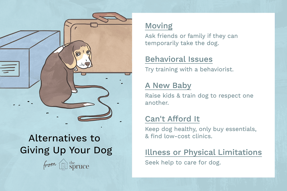 illustration of reasons not to give up your dog