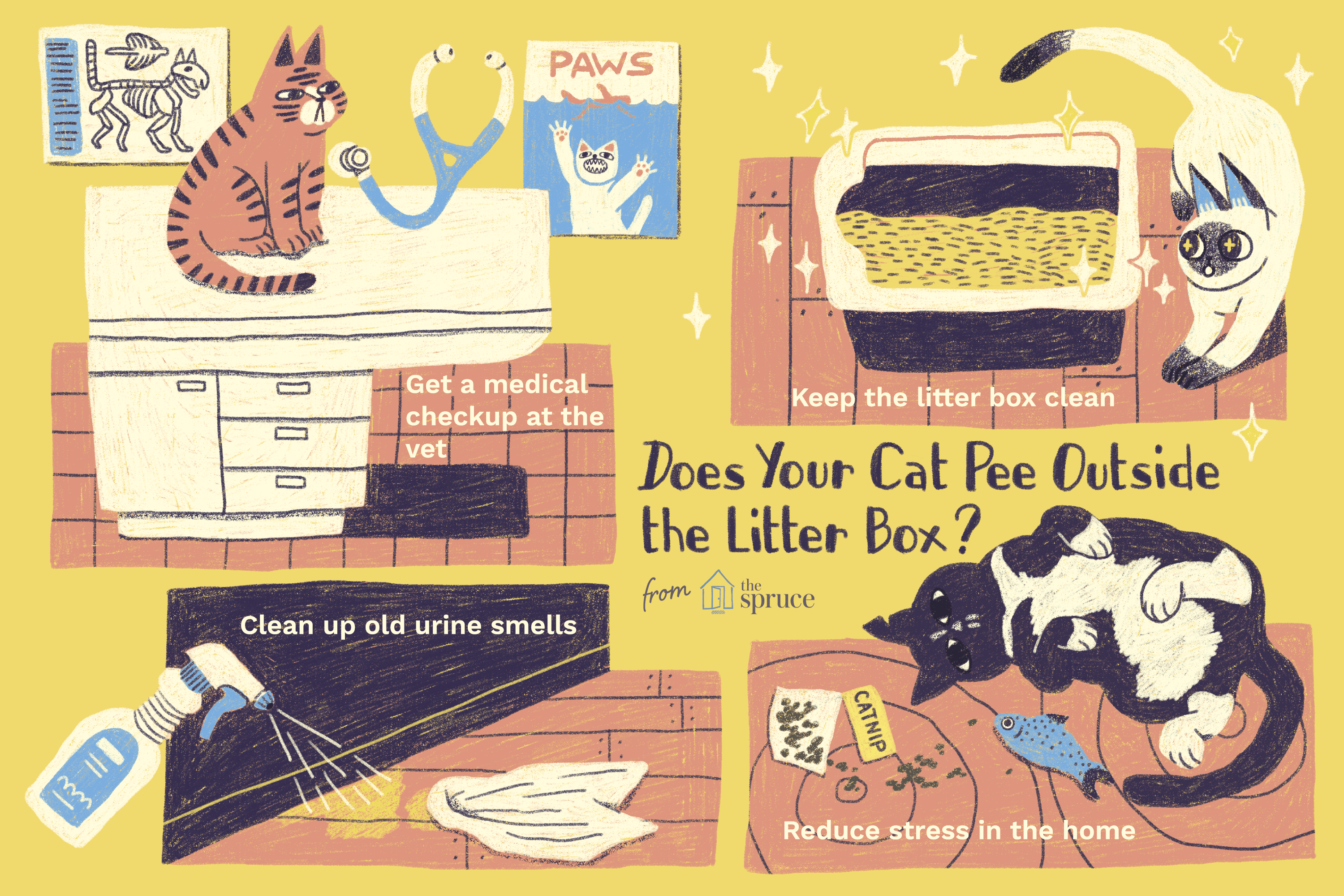 illustration of what to do if your cat pees outside the litter box