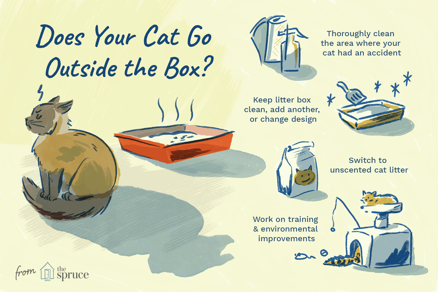 illustration of ways to stop your cat from going to the bathroom outside the litter box