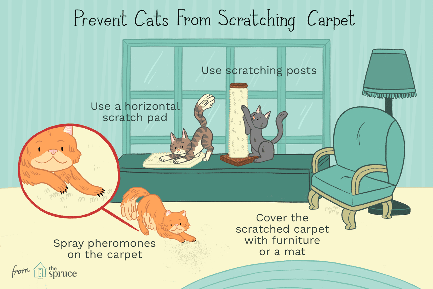 illustration of cats scratching carpet and how to stop it