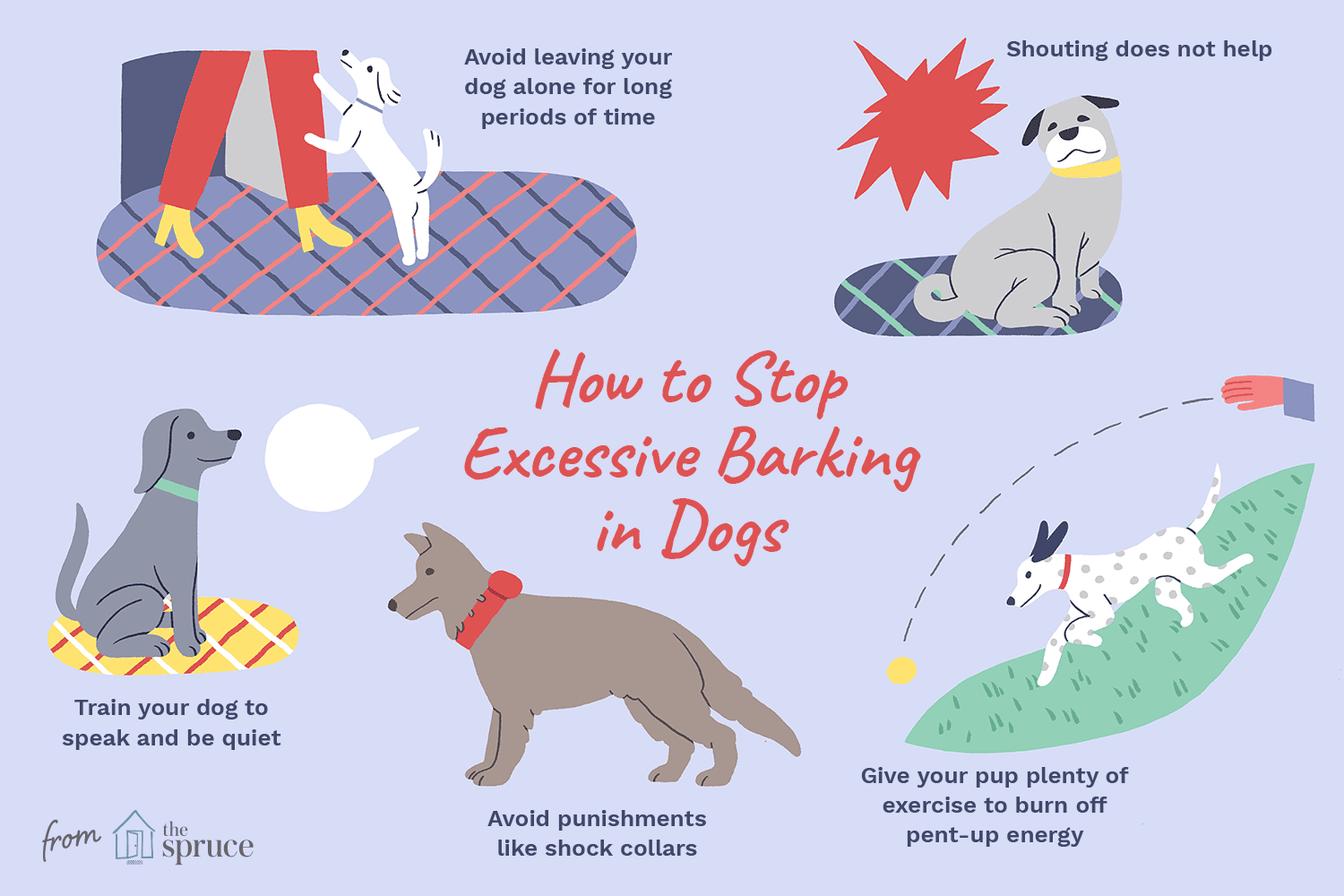 how to stop barking in dogs illustration