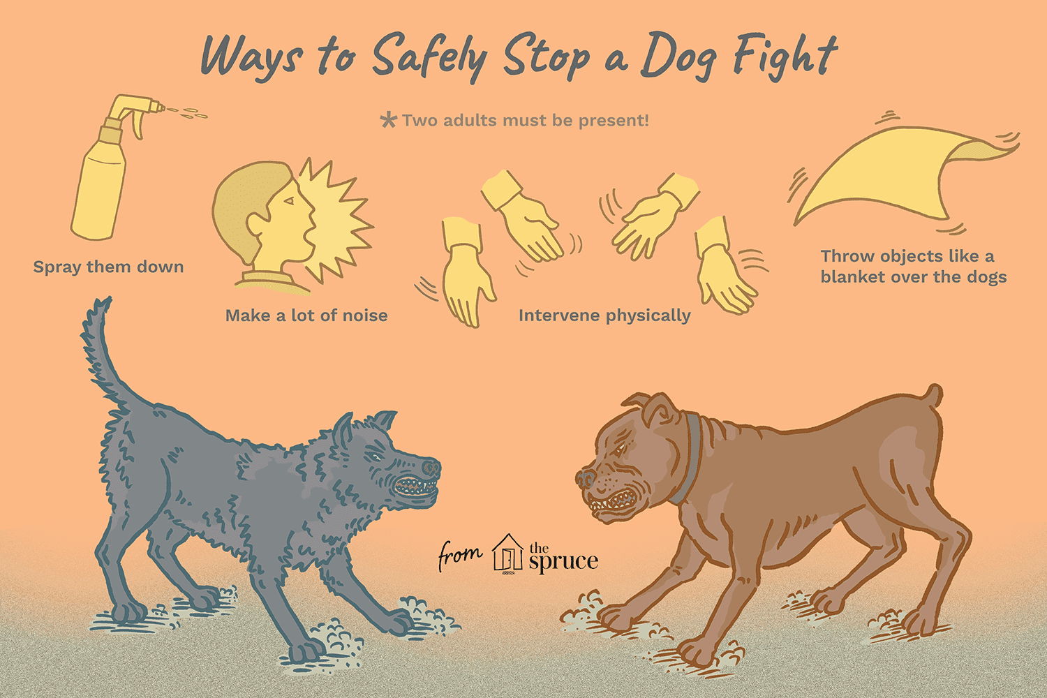 Illustration of how to stop a dog fight