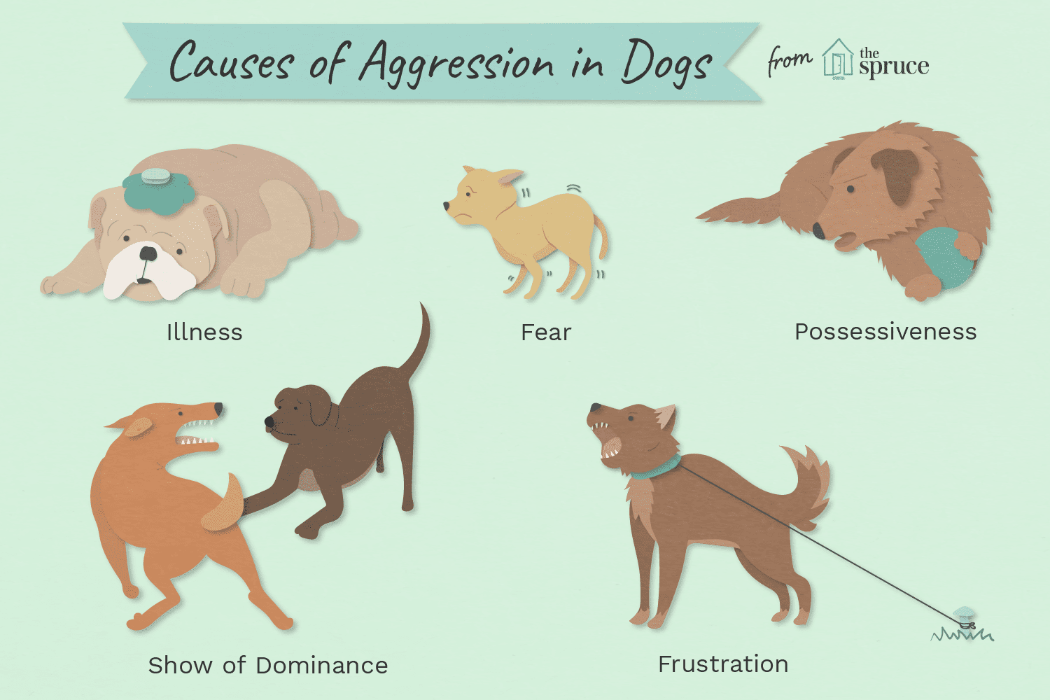 illustration of causes of aggression in dogs