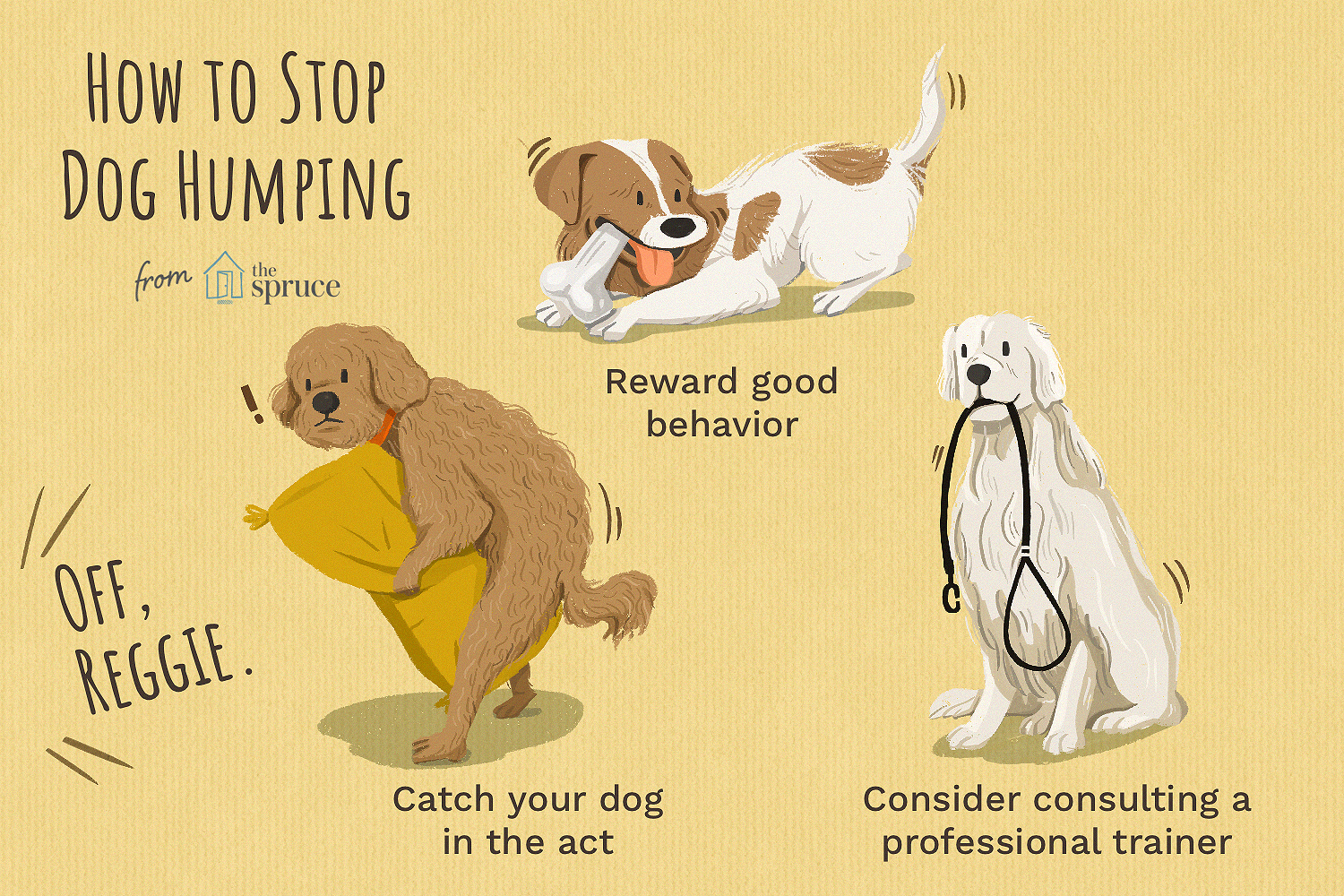 how to stop dog humping illustration