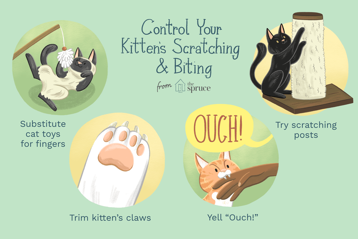 illustration of how to stop kitten scratching and biting