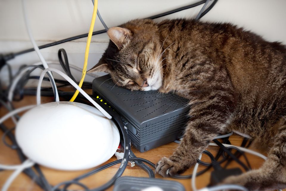 Cat lying on electronics surrounded by electrical cords